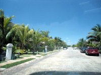 Cantil de Groenlandia 